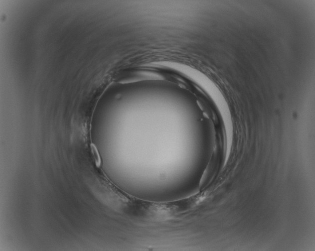 X0000082970613200702011400