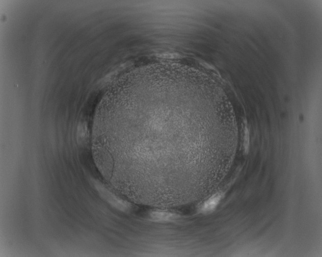 X0000082970614200702011400
