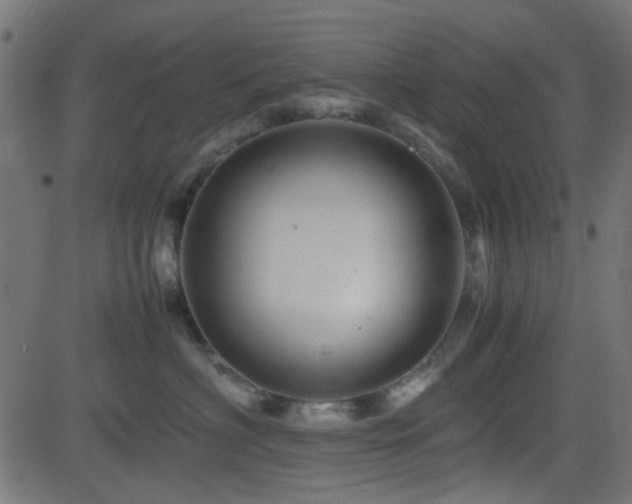 X0000082970622200702011400