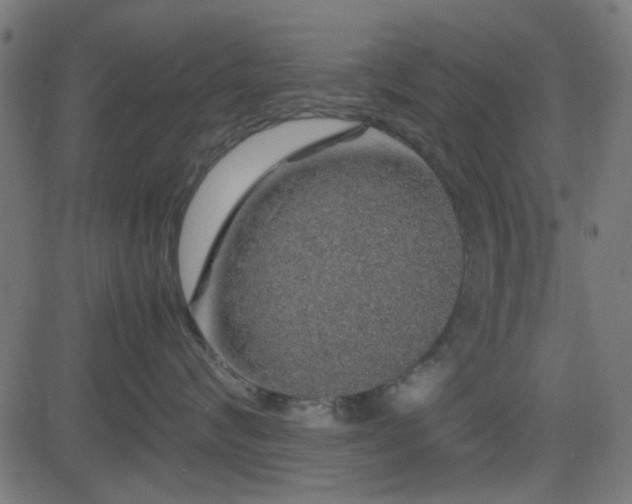X0000082970624200702011359