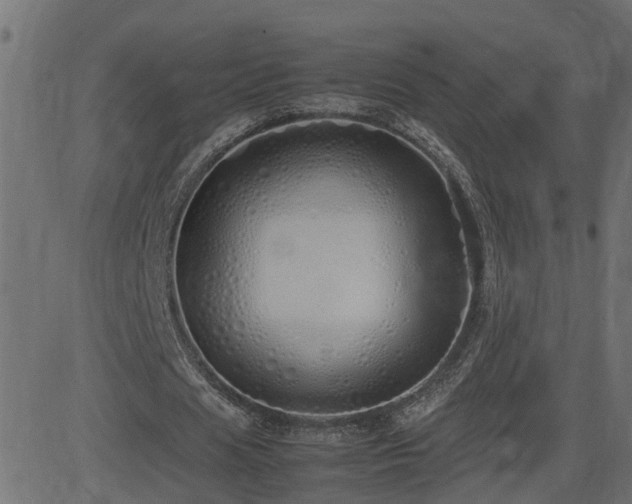 X0000082970625200702011359