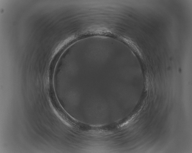 X0000082970630200702011359