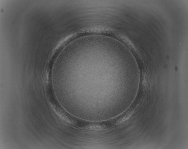 X0000082970636200702011359