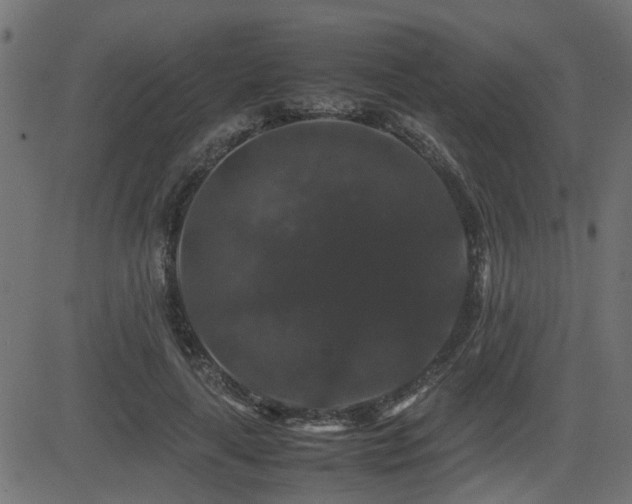 X0000082970643200702011359