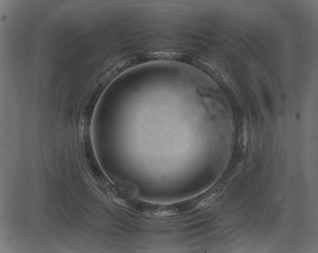 X0000082970647200702011359