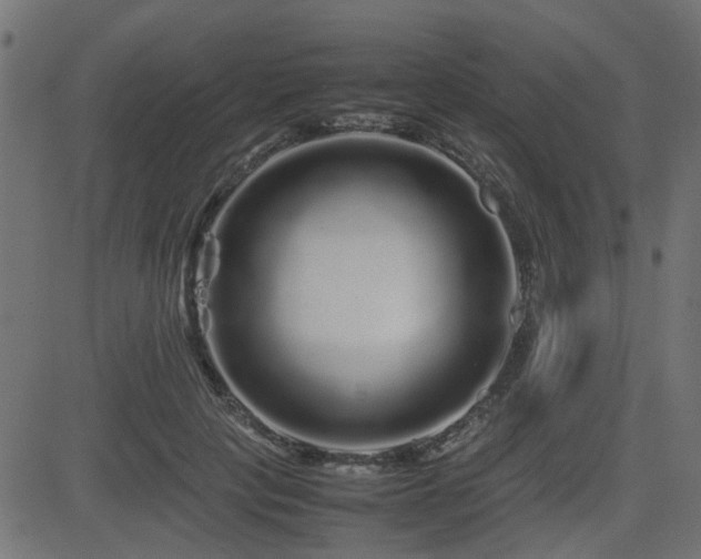 X0000082970649200702011359