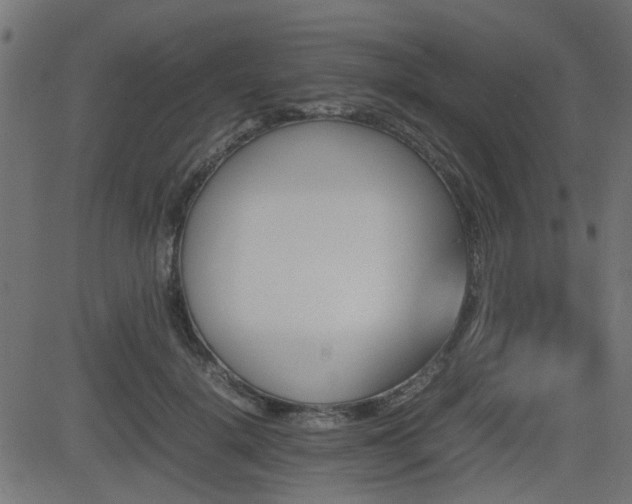 X0000082970652200702011359
