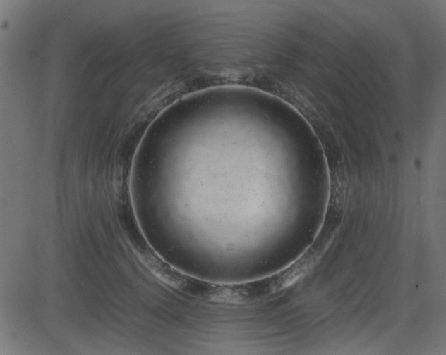 X0000082970656200702011359