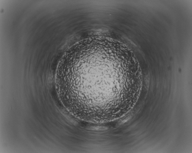 X0000082970657200702011359