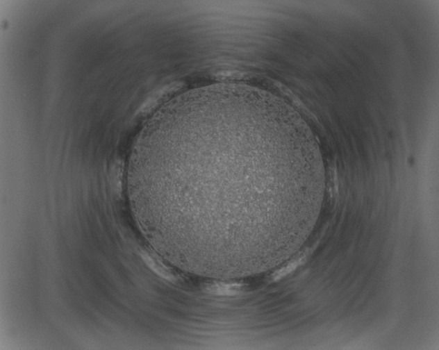 X0000082970664200702011359