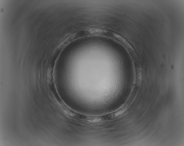 X0000082970667200702011359
