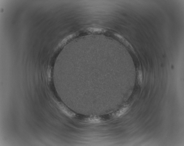 X0000082970668200702011359