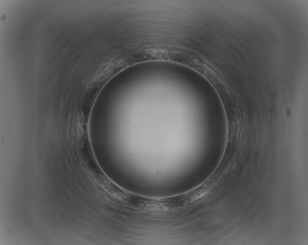 X0000082970702200702011358