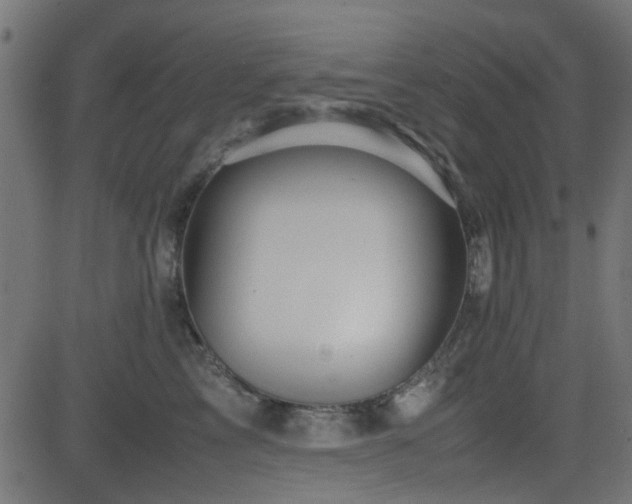 X0000082970713200702011358