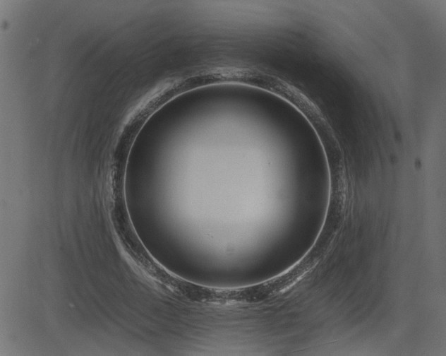 X0000082970730200702011357