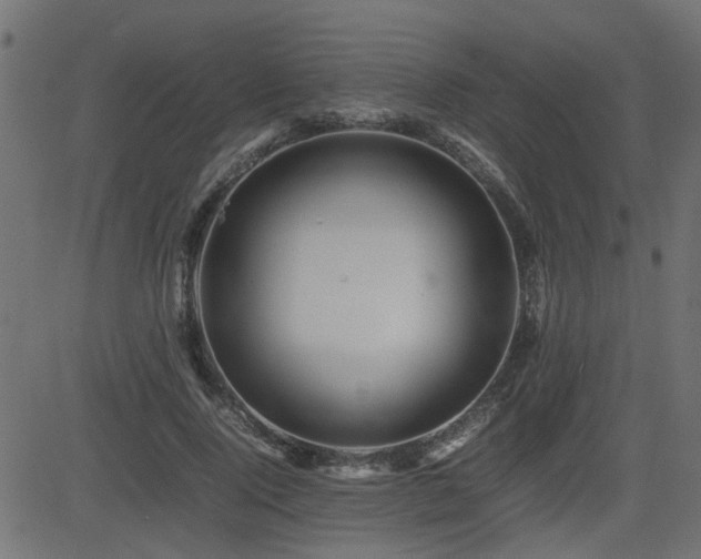 X0000082970740200702011357