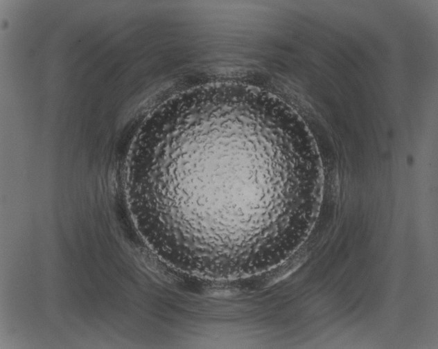X0000082970746200702011358