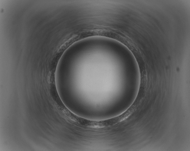 X0000082970750200702011358