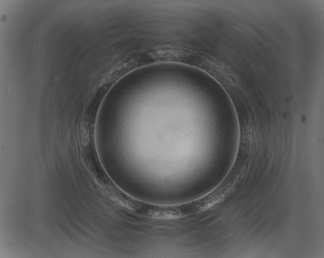 X0000082970751200702011358