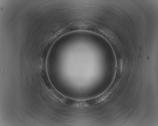 X0000082970752200702011358