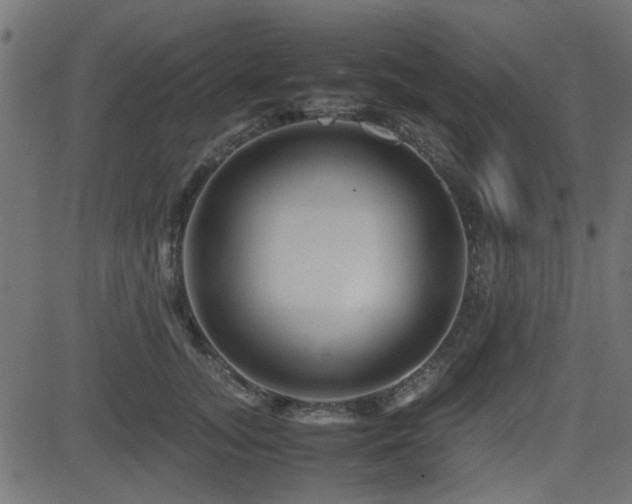 X0000082970755200702011358