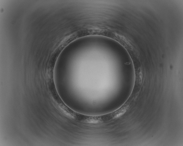 X0000082970756200702011358