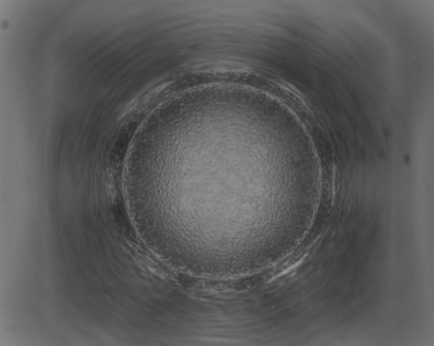 X0000082970774200702011357