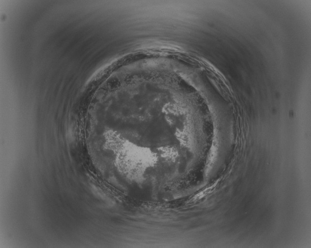 X0000082970775200702011357