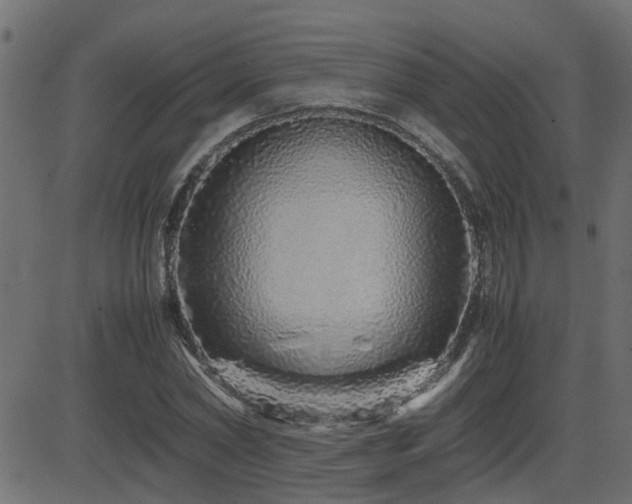 X0000082970782200702011357
