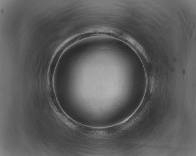 X0000082970784200702011357