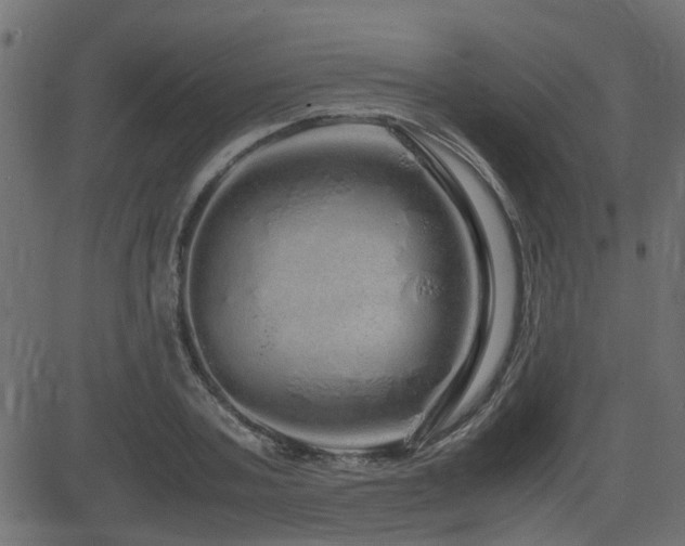 X0000082970787200702011357