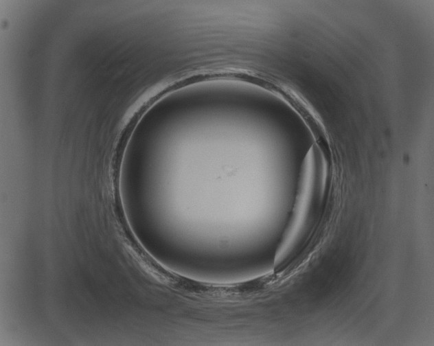 X0000082970789200702011357
