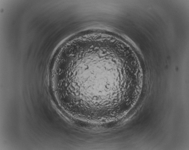 X0000082970791200702011357