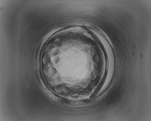 X0000082970795200702011357