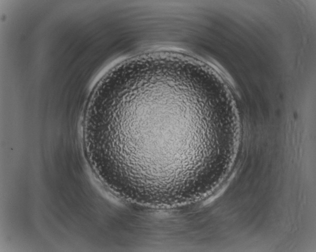 X0000082970814200702011356