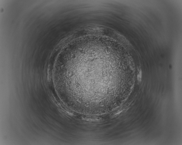X0000082970819200702011356
