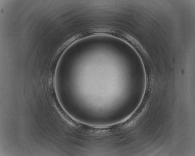 X0000082970841200702011356
