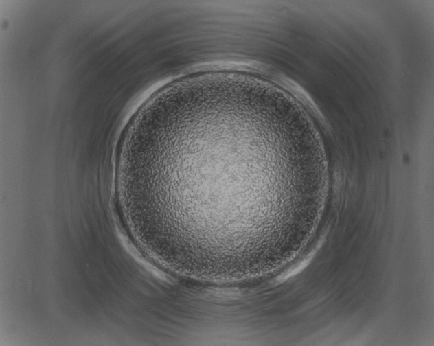 X0000082970844200702011356