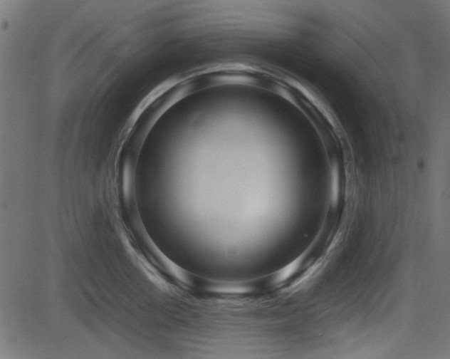 X0000082970858200702011356