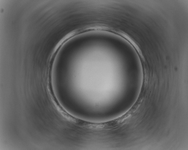 X0000082970861200702011356