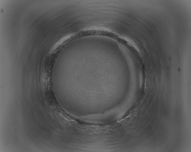 X0000082970872200702011355