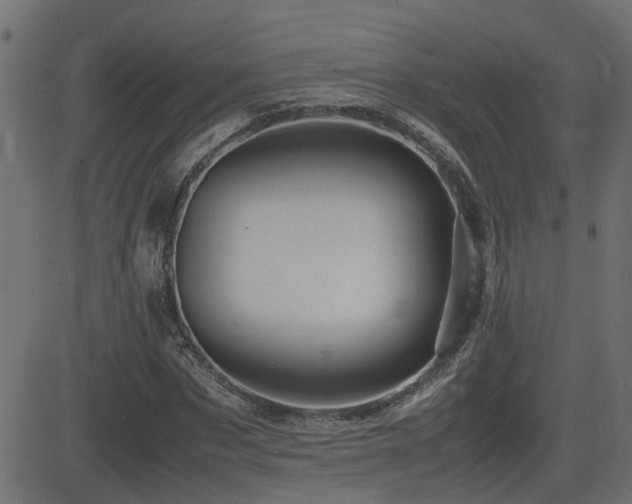 X0000082970873200702011355