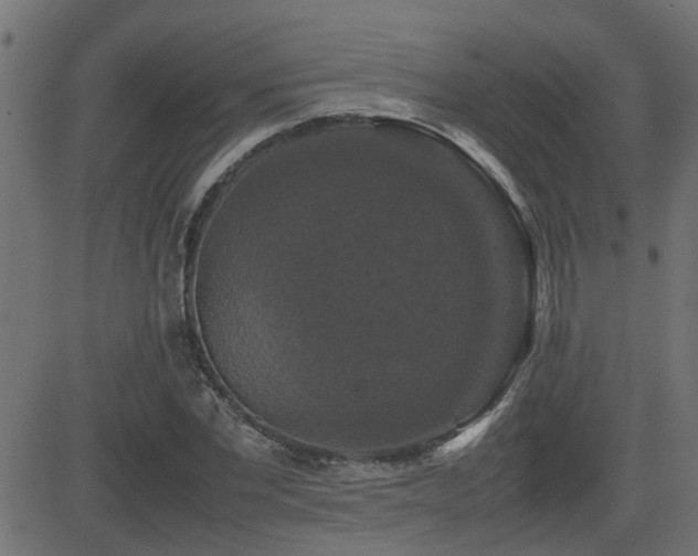 X0000082970877200702011355