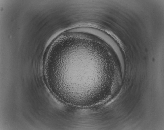 X0000082970894200702011355