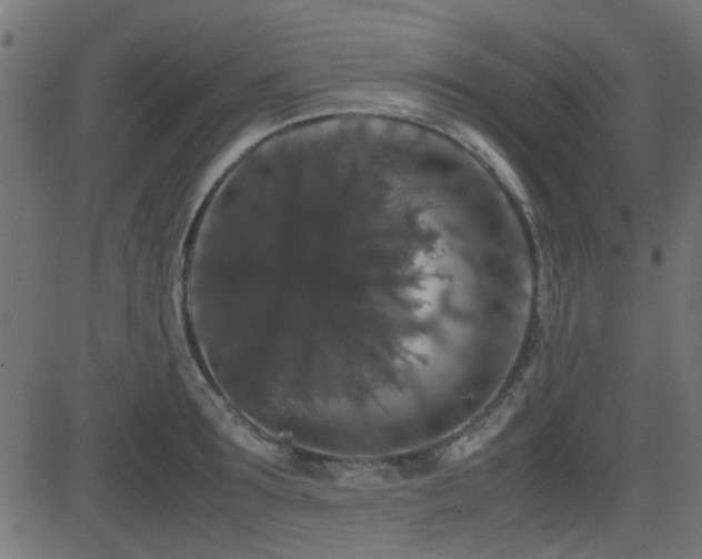 X0000082970899200702011355