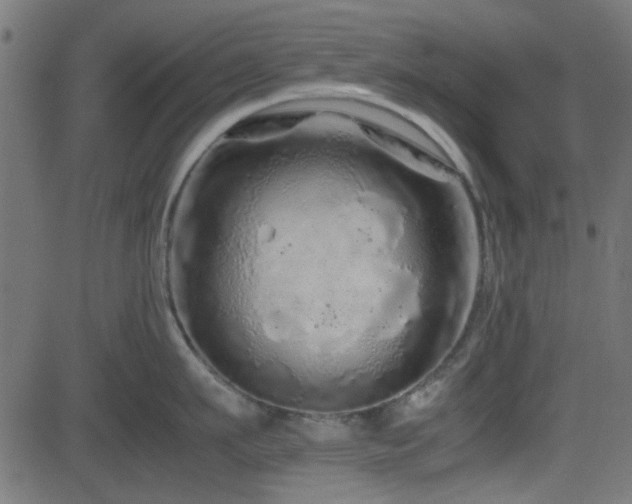 X0000082970911200702011355