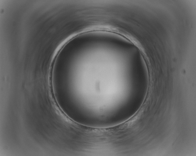 X0000082970912200702011355