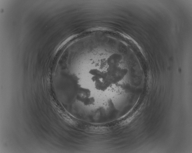 X0000082970921200702011354