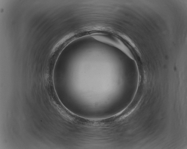 X0000082970922200702011354