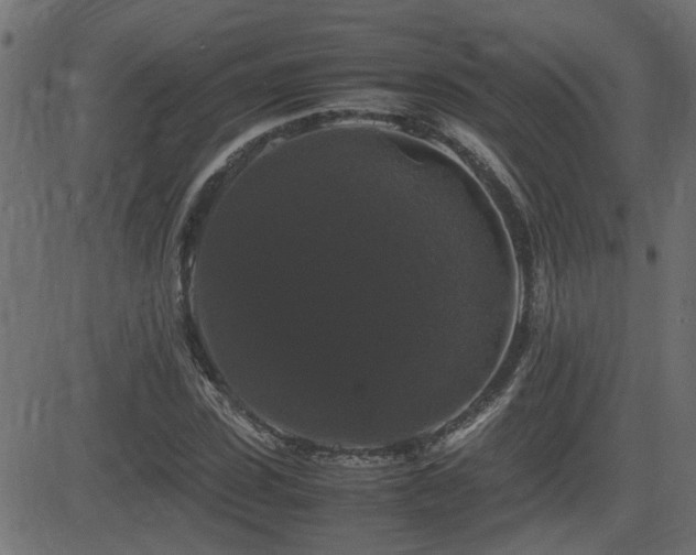 X0000082970923200702011354